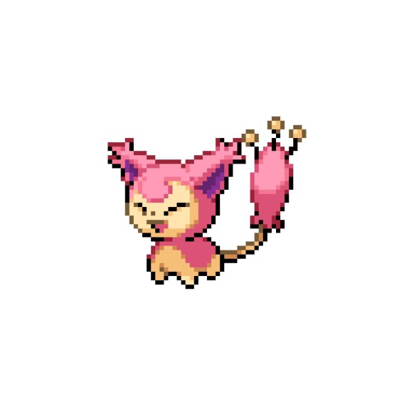 🐱